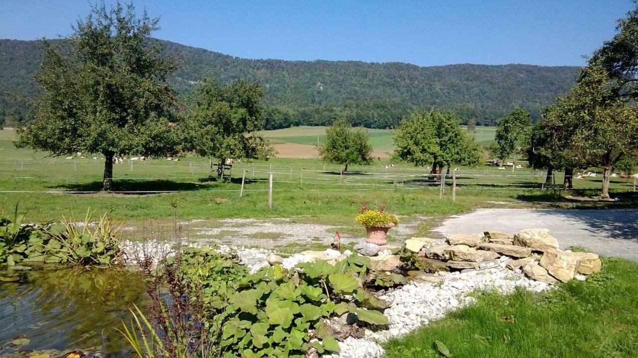 Apartement-Gîte rural à 3 km de Delémont Courcelon Bagian luar foto
